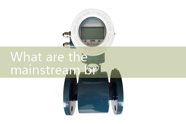 Shenyang Quality Flow Meter Investment Promotion