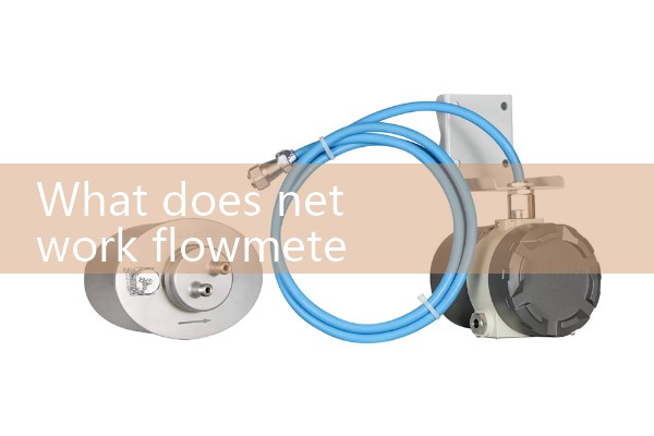 Network flowmeter