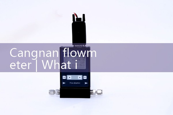 Cangnan flowmeter
