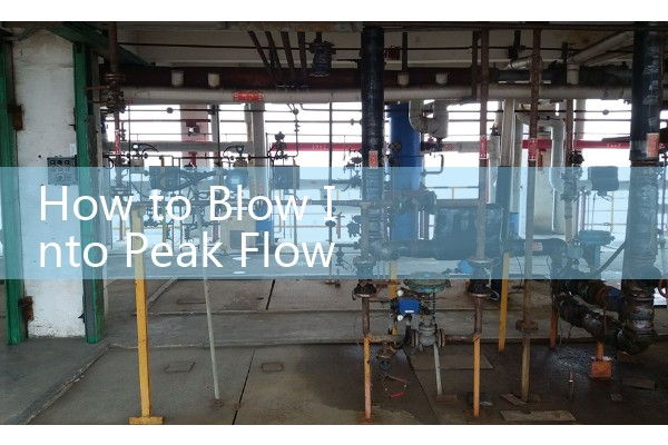 How to Blow Into Peak Flow Meter: Avoiding Common Hand and Tongue Errors