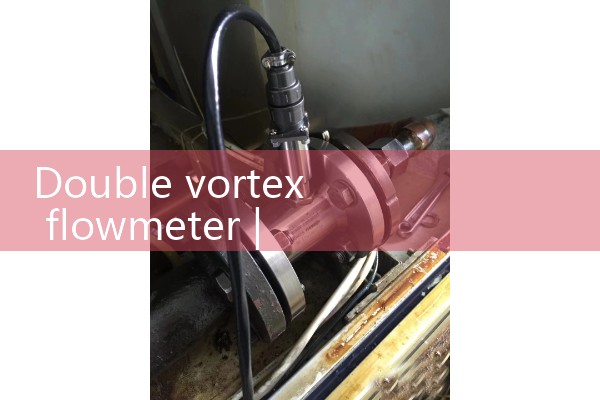 Dual vortex flowmeter