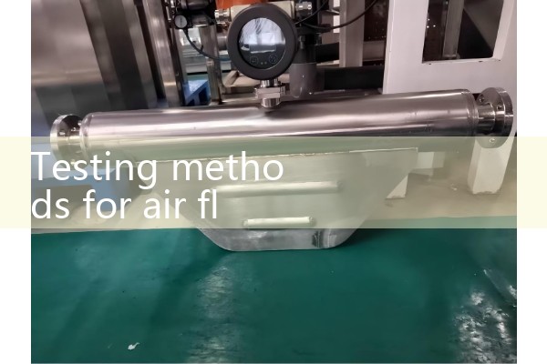 Testing method for air flow meter