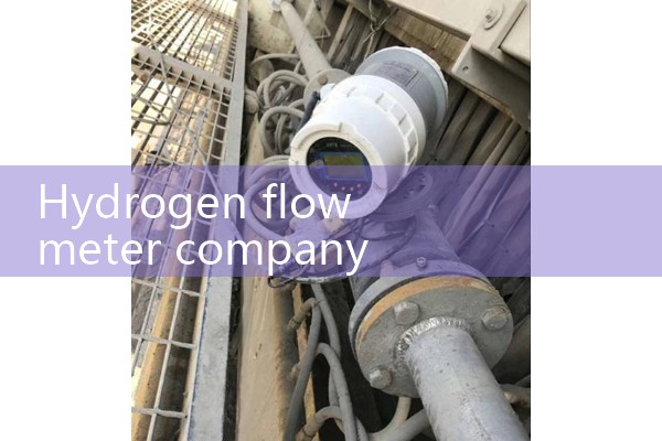 Hydrogen flowmeter company