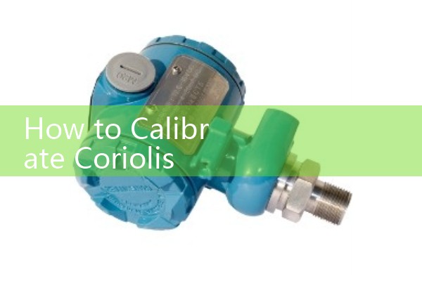 How to Calibrate Coriolis Flow Meter: Zero Point Adjustment under Full Loop Pressure