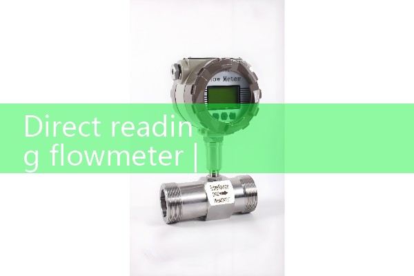 Direct reading flowmeter