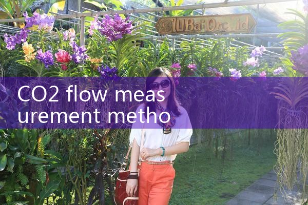 CO2 flow measurement methods|thermal flow meter