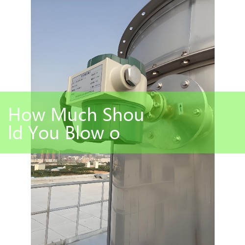 How Much Should You Blow on a Peak Flow Meter: Reaching Personal Best
