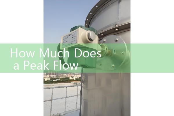 How Much Does a Peak Flow Meter Cost: Pharmacy Over-the-Counter Sourcing Manual