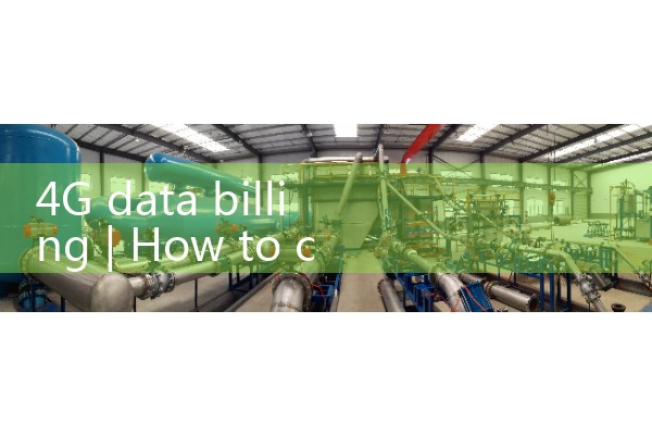4G data billing