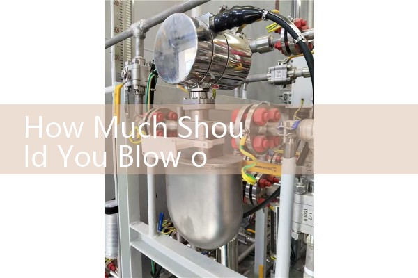 How Much Should You Blow on a Peak Flow Meter: Reaching Personal Best