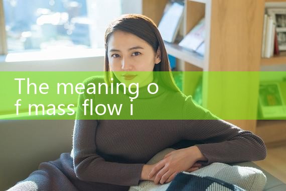 massflow|rotameter flow meter