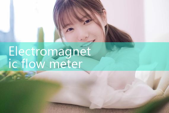 electromagnetic flow meter stainless steel body|rotameter flow meter