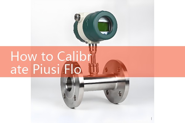 How to Calibrate Piusi Flow Meter: Programming Digital Scale Factors on Fuel Skids