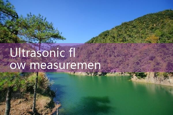 ultrasonic flow measurement|gas flow meter