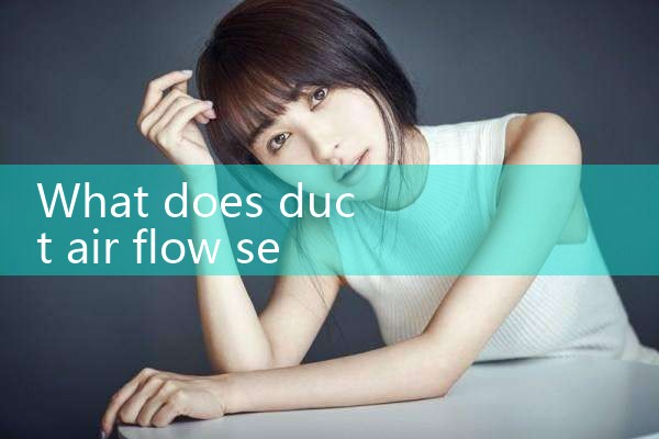 duct air flow sensor|rotameter flow meter