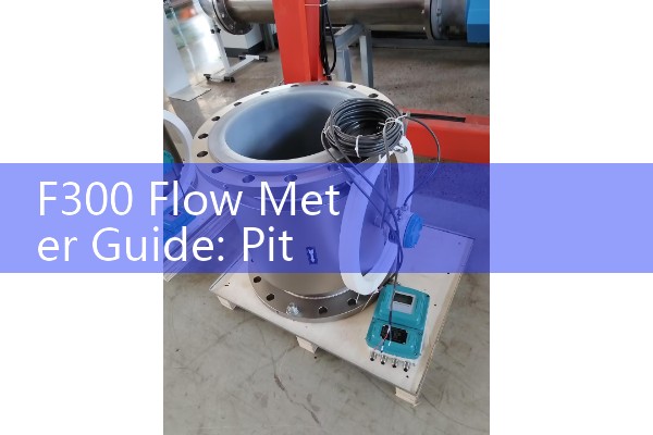 F300 Flow Meter Guide: Pitot Tube Type Flow Calibration for Fire Protection Systems