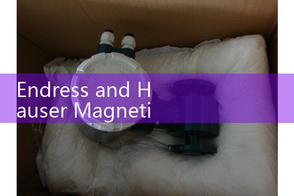 Endress and Hauser Magnetic Flow Meter: Applications of Proline sensors in utility management.