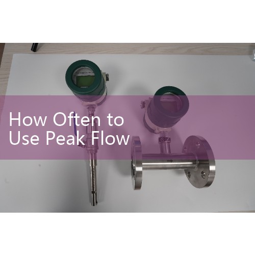 How Often to Use Peak Flow Meter: Tracking Early Signs of Airway Narrowing