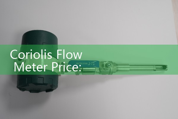 Coriolis Flow Meter Price: Budgeting considerations for high-precision instrumentation.