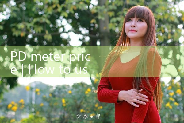 pd meter price|rotameter flow meter