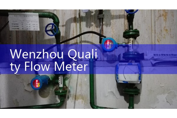 Wenzhou Quality Flow Meter Wholesale Manufacturer