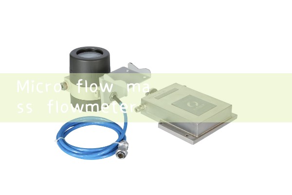Micro flow mass flowmeter manufacturer