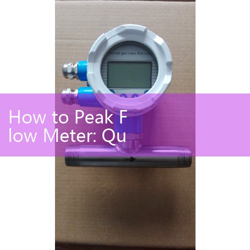 How to Peak Flow Meter: Quick Routine Screening Guidelines for New Pediatric Asthma Patients