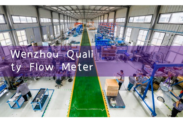 Wenzhou Quality Flow Meter Manufacturer Ranking