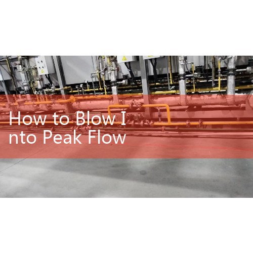 How to Blow Into Peak Flow Meter: Avoiding Common Hand and Tongue Errors